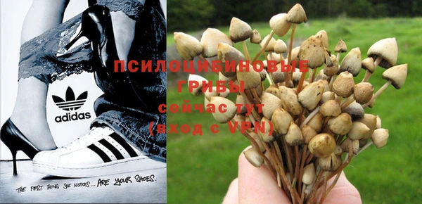 прущий лед Вяземский