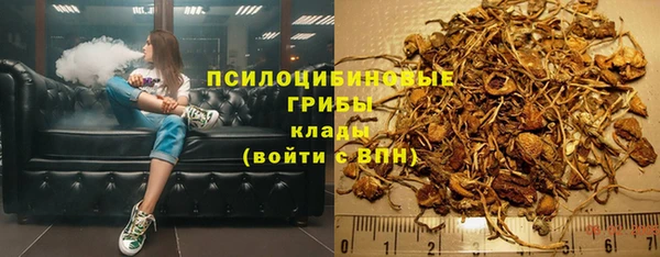 прущий лед Вяземский