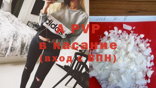 прущий лед Вяземский