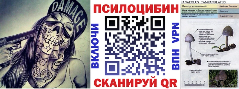 Галлюциногенные грибы GOLDEN TEACHER  Тула 